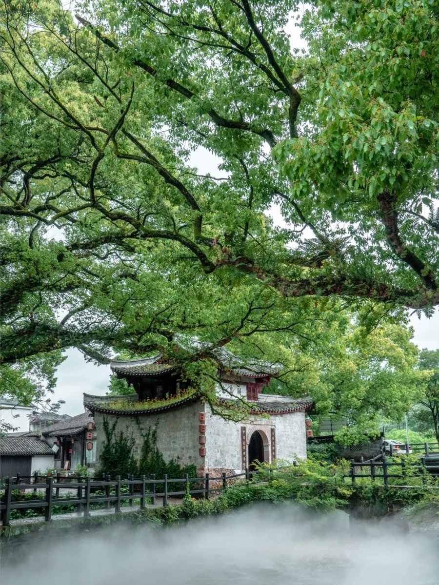 大美中国🇨🇳浙江丽水·古堰画乡