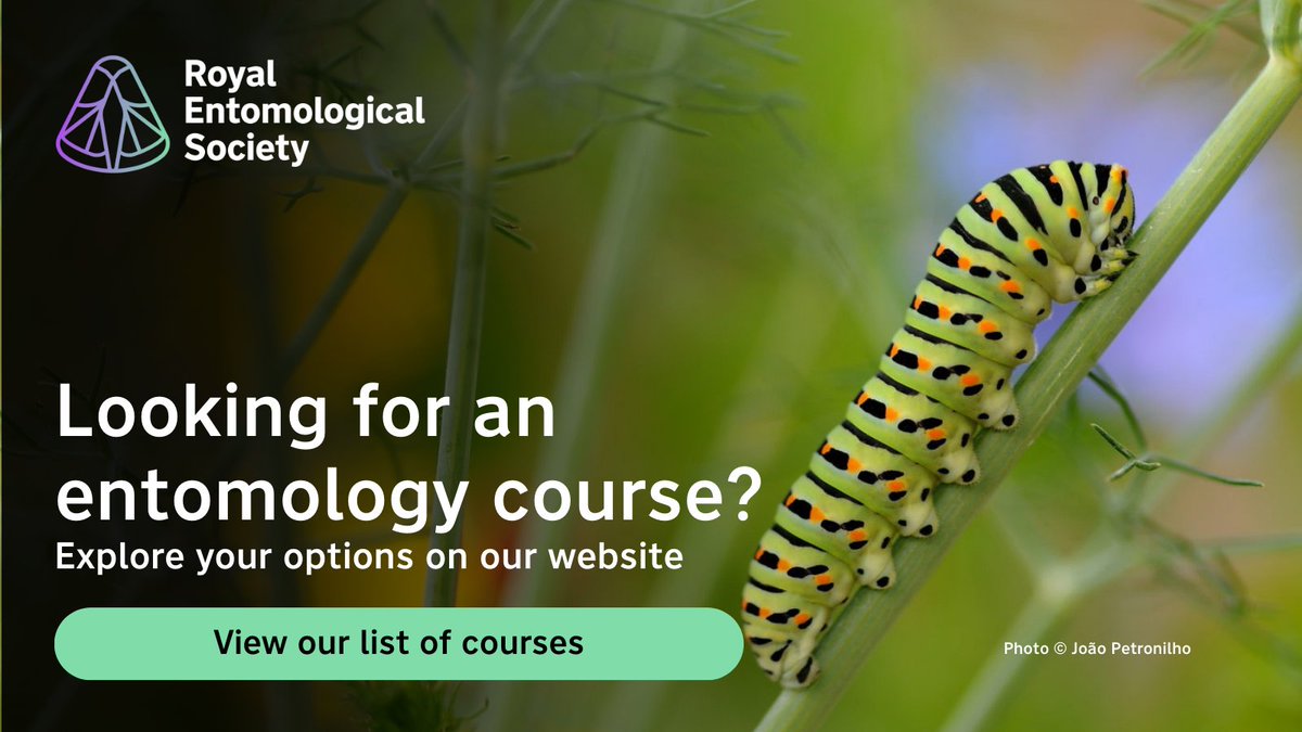 RoyEntSoc's tweet image. Dive into the captivating world of #InsectScience🐛 Boost your entomological skills with comprehensive courses in the UK and Ireland.
Explore your options by browsing our list of institutions offering insect-related courses 🔽
royensoc.co.uk/membership-and…
📸 João Petronilho
