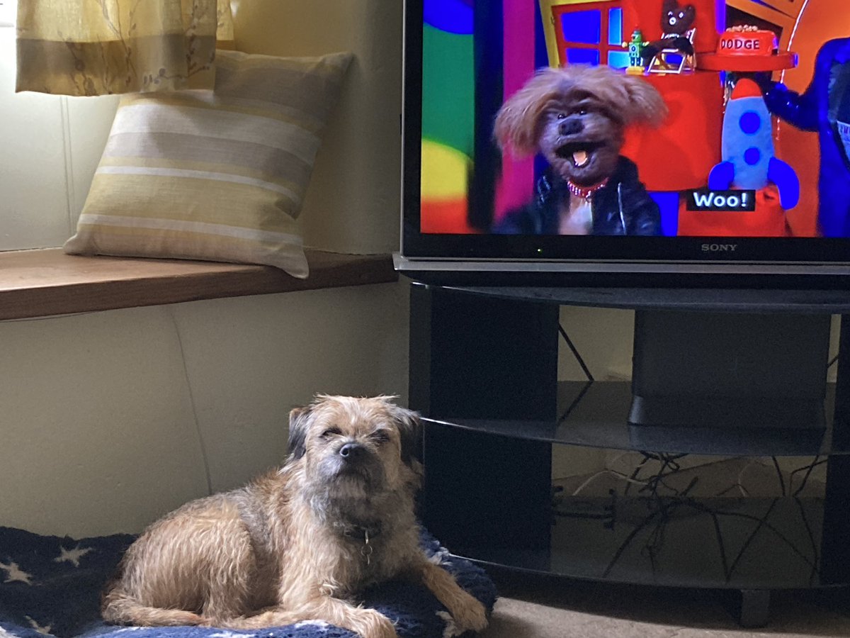 Gus’ doppelgänger… 🤣 #BTPosse