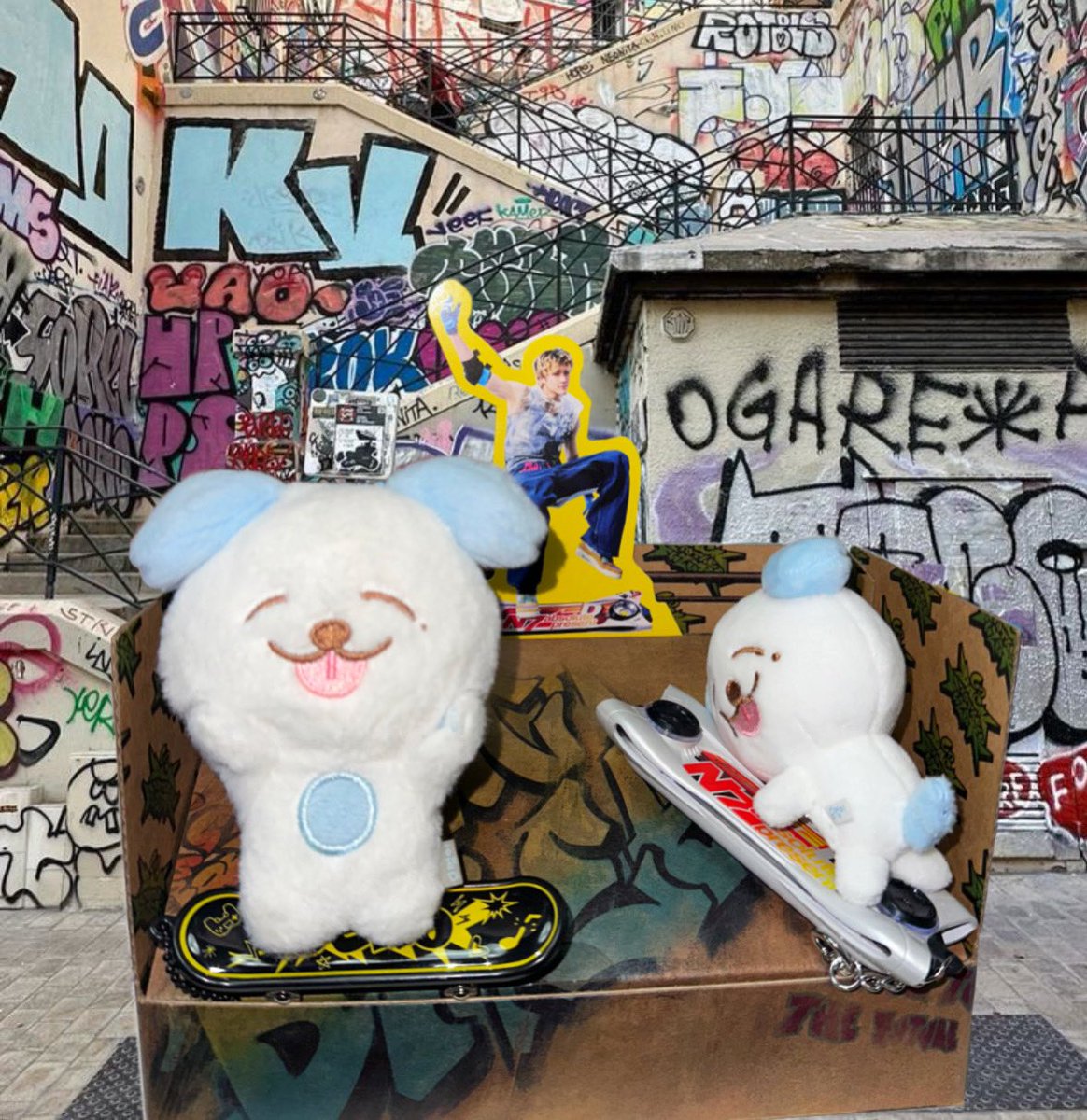 보드타는 므엉이 삼형제🐶🛹🩵