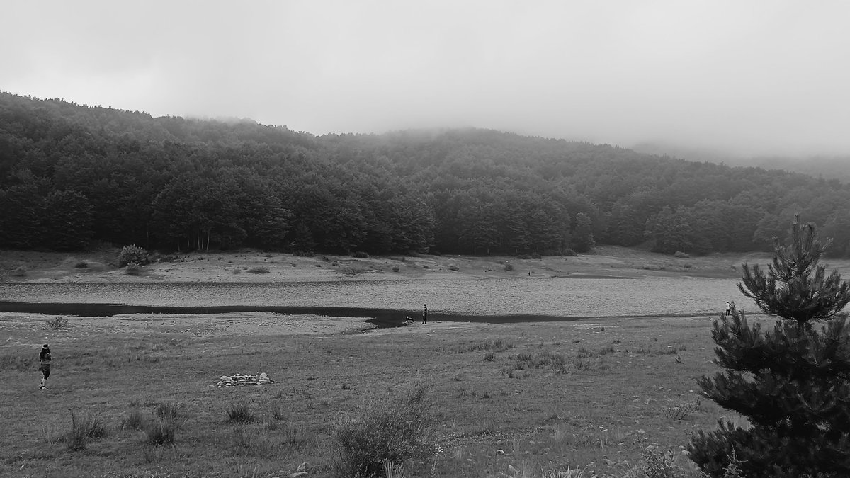 Hiroko Komiya (@komiyahiroko) on Twitter photo 