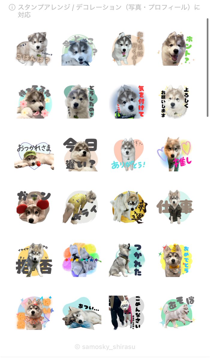 samosky_shirasu's tweet image. [しらすとほたて]
line.me/S/sticker/3127…

[サモスキーのしらすくん2]
line.me/S/sticker/3127…

飼い主が使いたいが為にLINEスタンプ作りました🥳🙌🏻
しらすとほたてver.
しらすくんver.2

ほたてver.は今後作る予定です🦦