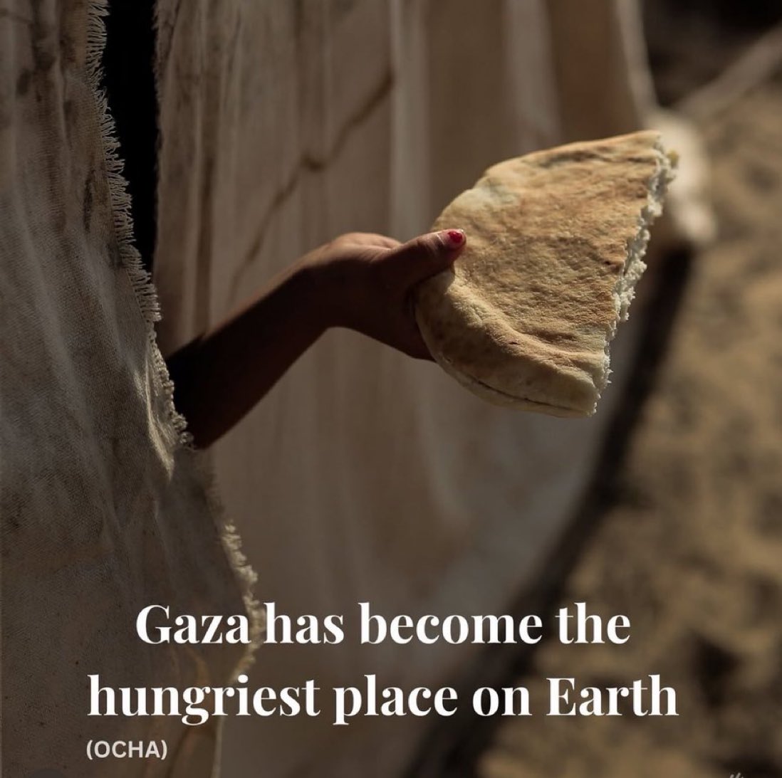 BabaYaga_313's tweet photo. Gaza is Starving. 

#SaveGaza #GazaIsStarving #Gaza_is_dying_of_starvation #GazaStarvingToDeath #GazaNeedsBread #Gaza_is_being_annihilated_and_burning #GazaGenocide‌ #PalestineAction #Palestine https://t.co/zFPx8YkwIo