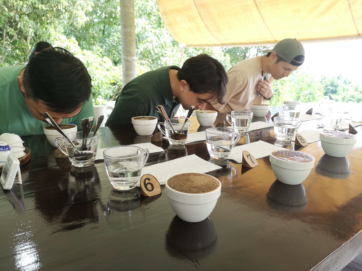 Global Coffee and Tea Association Forum 2025 in Chaing Rai, northern Thailand, offered site visits for overseas delegates to world-export tea and coffee plantations:  Choui Fong Tea, Wang Put Tan Tea, Doi Chang Coffee. Aim to be tea &amp; coffee destination.