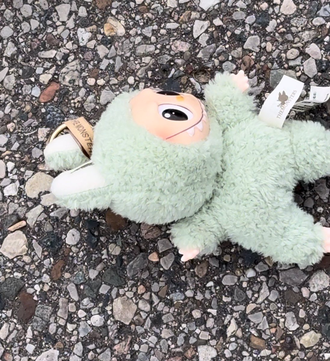 NINEUP5's tweet image. My girlfriend and I found an injured labubu on the ground yesterday, I’m gonna pour acid on it