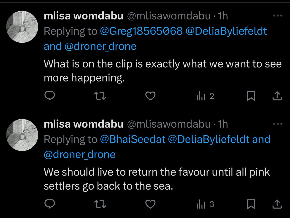 DeliaByliefeldt's tweet image. This captures the core issue plaguing South Africa: a toxic obsession with violence, driven by deep-seated hatred and incendiary political rhetoric.