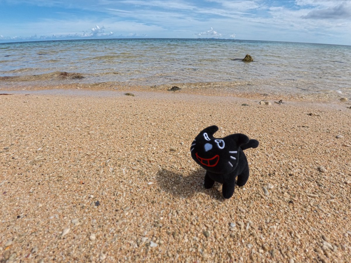 kiyo_info's tweet image. 海ぃいいいいいいいいいいいいいいいいいいいいいいいいいいいいいいいいいいいいいいいいいいいいいいいいいいいいい🏖️