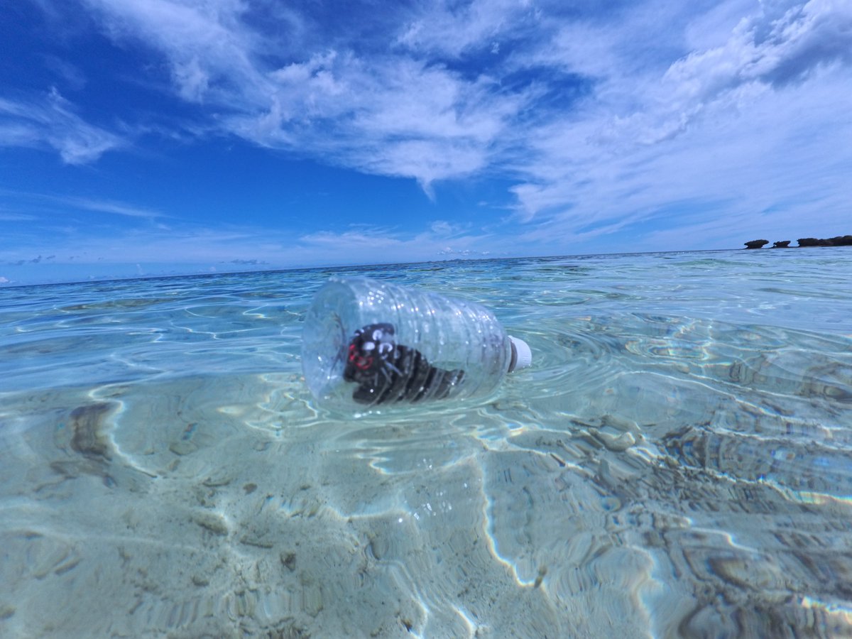 kiyo_info's tweet image. 海ぃいいいいいいいいいいいいいいいいいいいいいいいいいいいいいいいいいいいいいいいいいいいいいいいいいいいいい🏖️