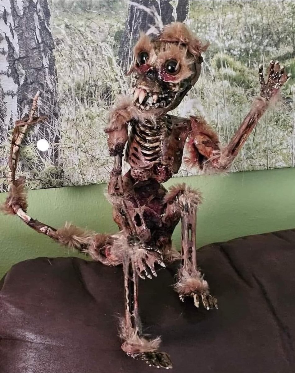 CrapTaxidermy's tweet image. Arriving at work on a Monday, after telling everyone on Friday it was going to be a quiet weekend....