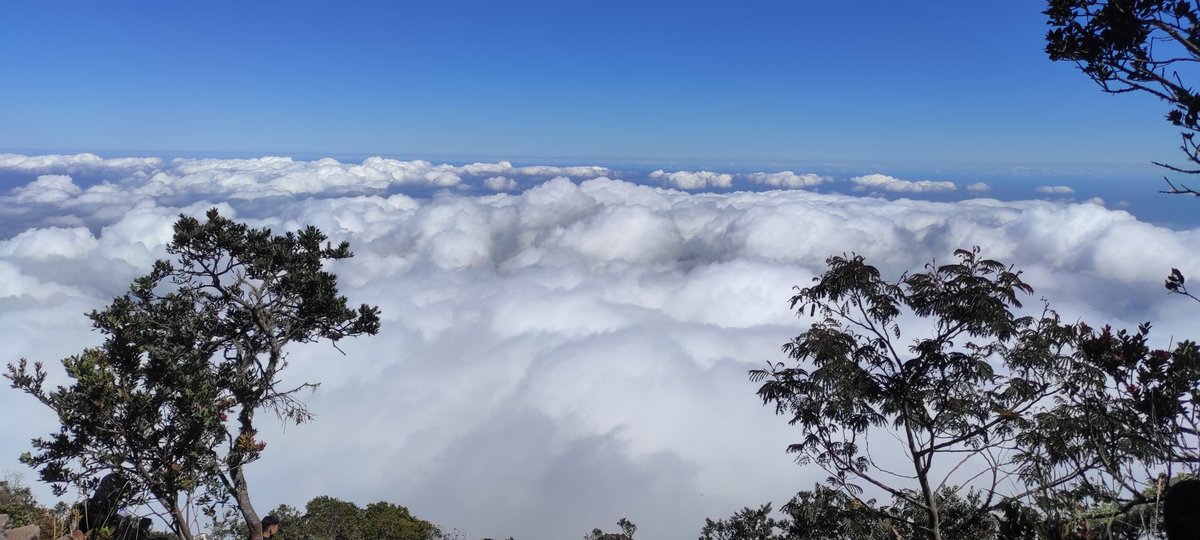 crowded_mind's tweet image. tidur with view