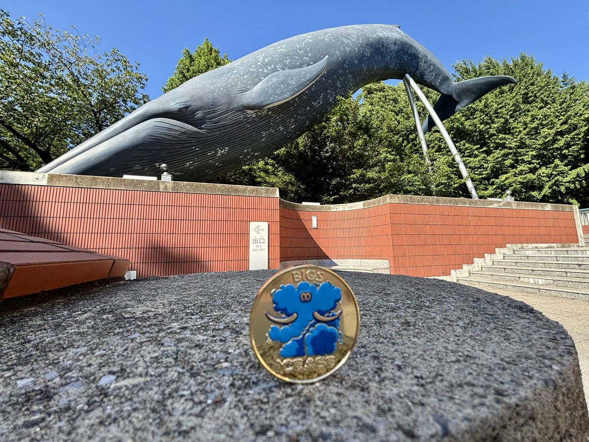 kazz256's tweet image. #国立科学博物館 の氷河期展🦣
夏休みが始まって人手が多いので、早く行かないとメダルが売り切れになりそう

#茶平工業
#メダル