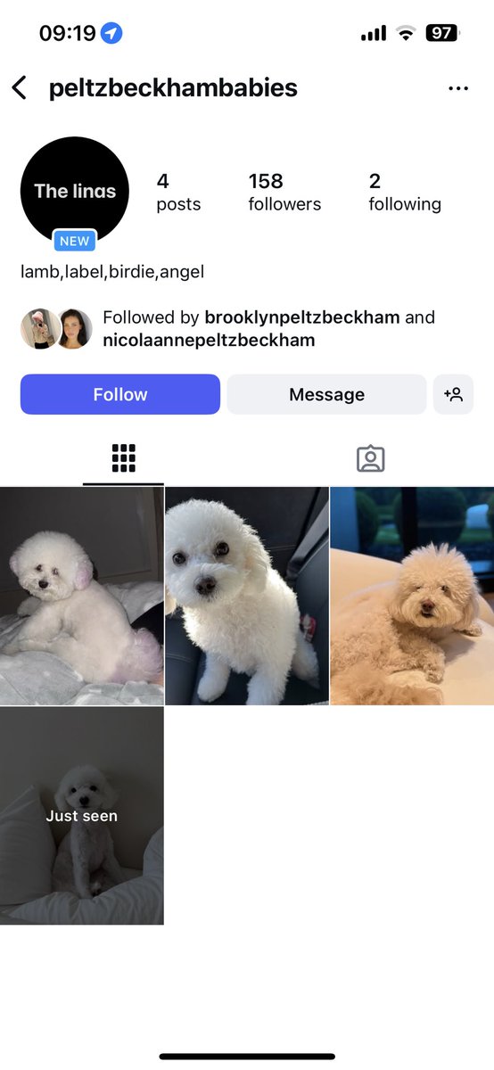 It has been eight hours since Brooklyn Beckham &amp; Nicola Peltz, who have 20 million followers between them, announced their dog Instagram page… and it currently has 158 followers 💀💀💀