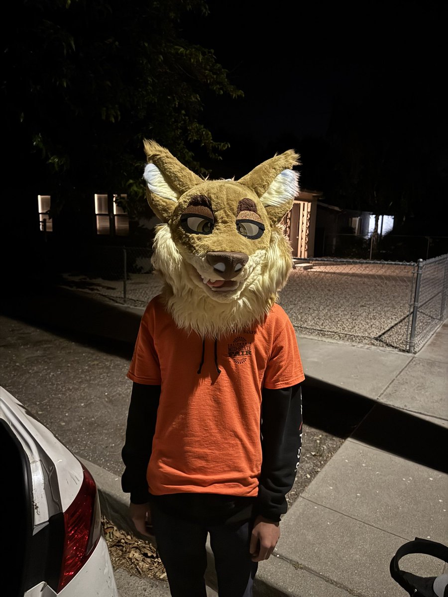 Bullet_Woof's tweet image. Some of my co-workers are furries now ig ;p