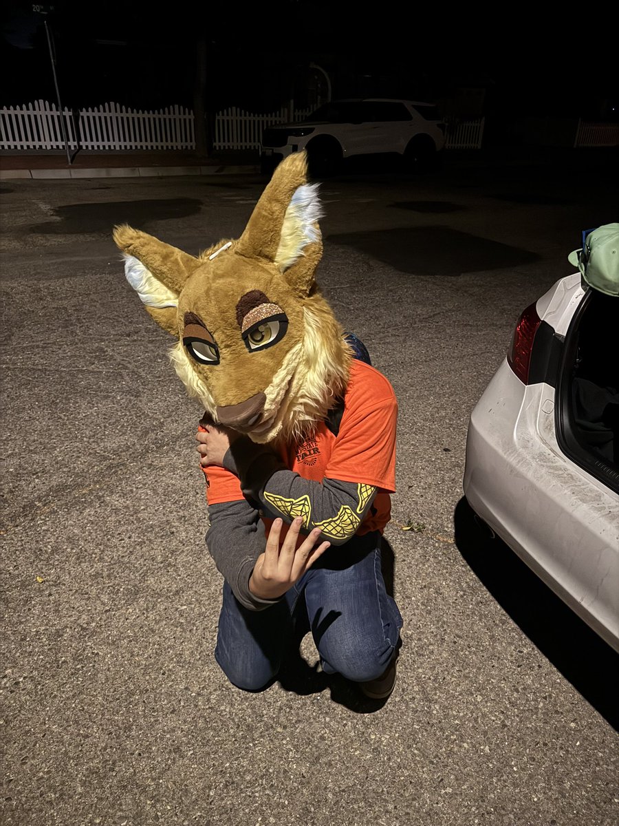 Bullet_Woof's tweet image. Some of my co-workers are furries now ig ;p