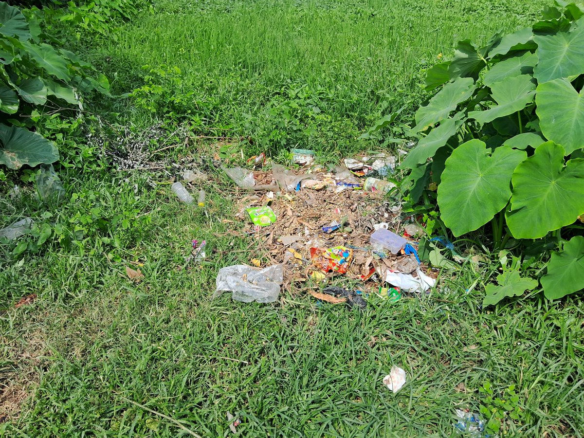 MAHA_SANGRAM_'s tweet photo. 📢 Complaint Regarding Garbage Dumping 🚮
@CMO_Odisha @Keonjhar_DM @SwachhBharatGov @MoPR_GoI @Odisha_Panchayat

I’m Kunal from Biragobindapur village, Ghasipura block, Keonjhar district, Odisha.

People are dumping garbage daily in front of my house https://t.co/uI4lRWyCvG