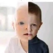 floral shoppe is old internet now...