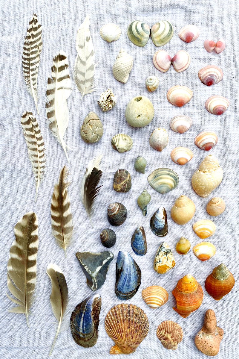 silverpebble's tweet image. What happens when my daughters & I join forces to find beach treasure at Old Hunstanton. Please note the middle finger pebble bottom right. Apart from that very special find we left this treasure on the beach.