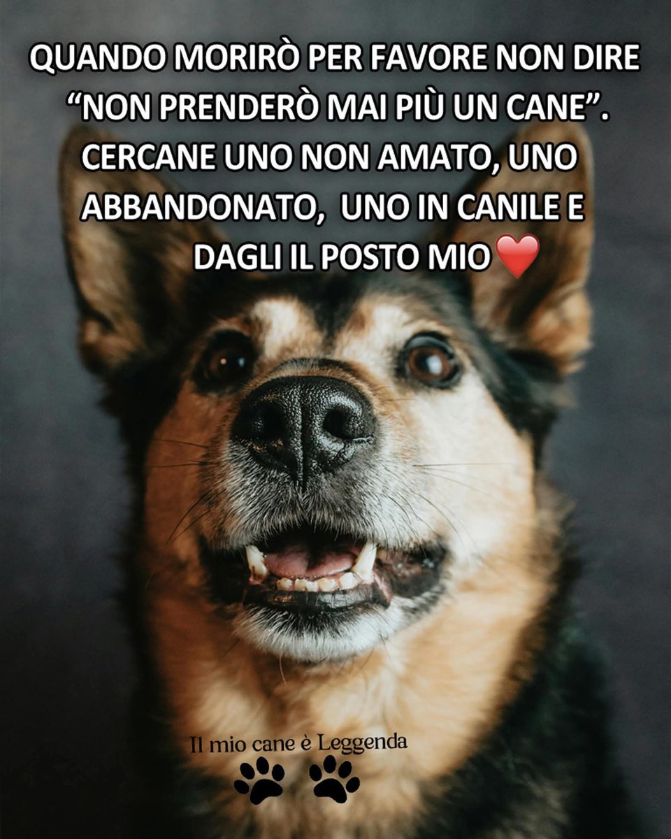 ManuelR98018661's tweet image. Lo farò amore mio ma tu resta più tempo possibile con me...