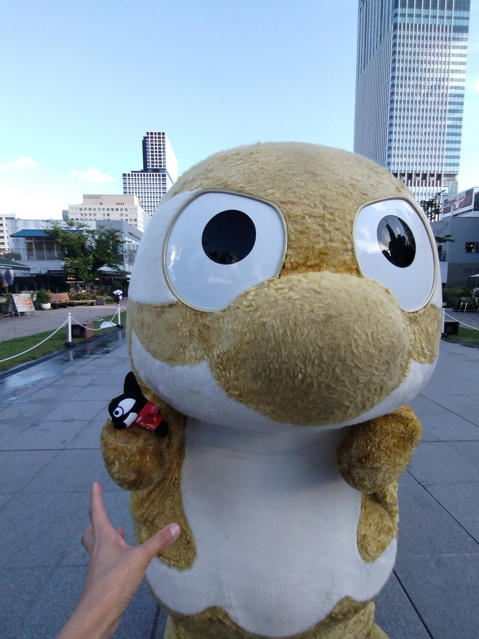 うさこ on X: 