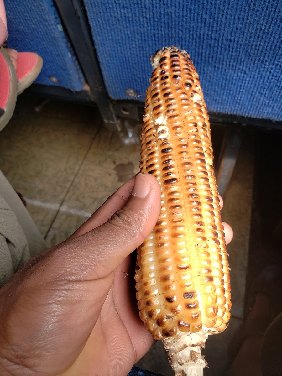 TeemootheeK's tweet image. Experiment;
Taking one one grain,from busega upto kabale...can it last that long..😁