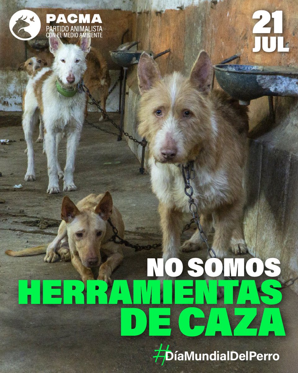 Vinieron a este mundo junto a nosotros, no para servirnos. 

No son herramientas, no son complementos, no son esclavos. Algo que los gobiernos parecen no entender si no les reporta votos. 

Celebremos el #DíaMundialDelPerro recordando lo que son: una de las criaturas más nobles