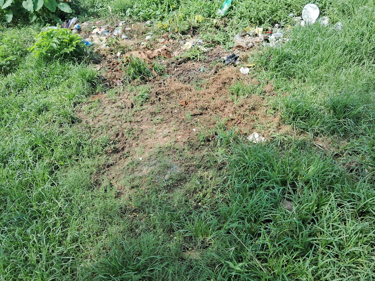 MAHA_SANGRAM_'s tweet photo. @mopr_goi @LalanSingh_1 @spsinghbaghelpr @mos_fahd_pr @airnewsalerts @AIRNewsHindi @AkashvaniAIR @PIB_India @DDNewslive @SwachhBharatGov @swachhbharat I’m Sangram Parida from Biragobindapur village, Ghasipura block, Keonjhar district, Odisha.

People are dumping garbage daily in front of my house, creating unhygienic conditions and foul smell. Despite Swachh Bharat Mission, no action has been taken by the panchayat. https://t.co/Rty73OkFjF