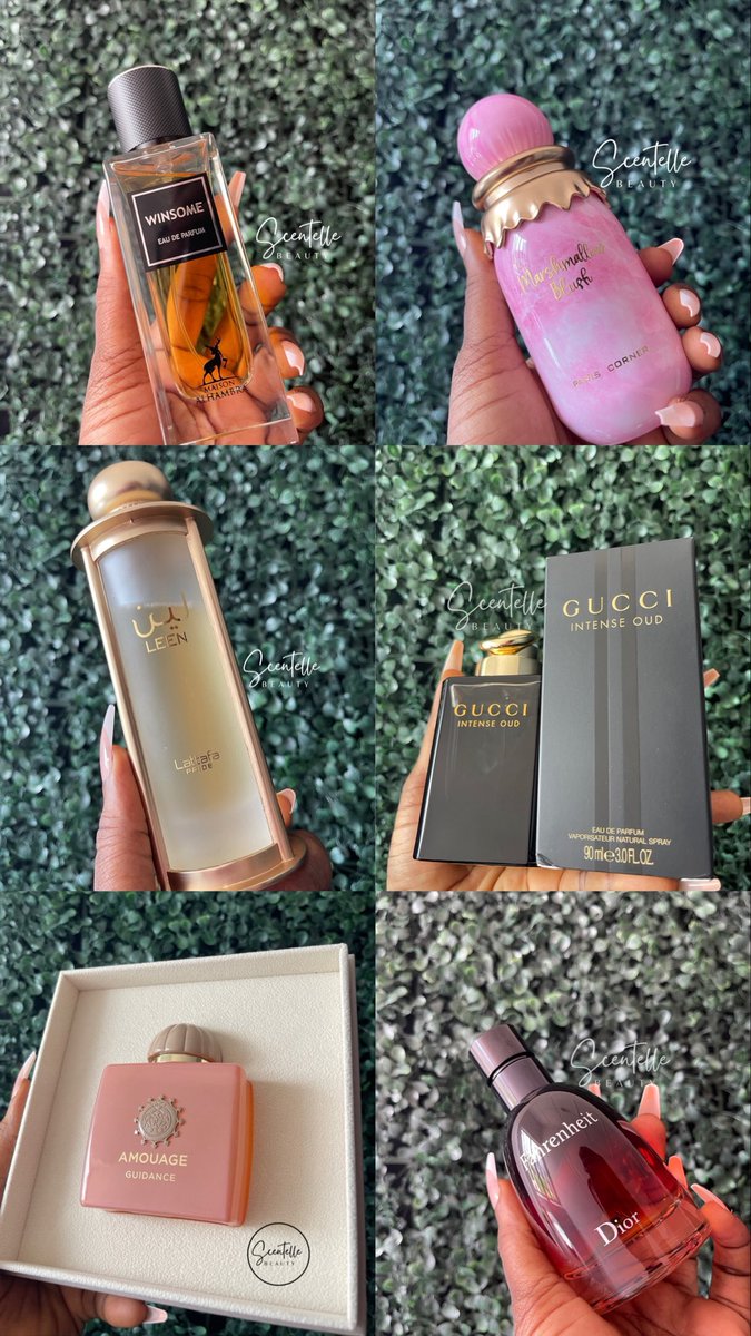 Scentellebeauty's tweet image. Today is the perfect day to shop with us!
At Scentelle Beauty, we offer a wide range of perfumes to suit every preferenceโค๏ธ
Whether you love designer scents, Arabian oud, niche fragrances, perfume oils, or body mists.
Send us a DM or message on WhatsApp wa.me/2348087099629