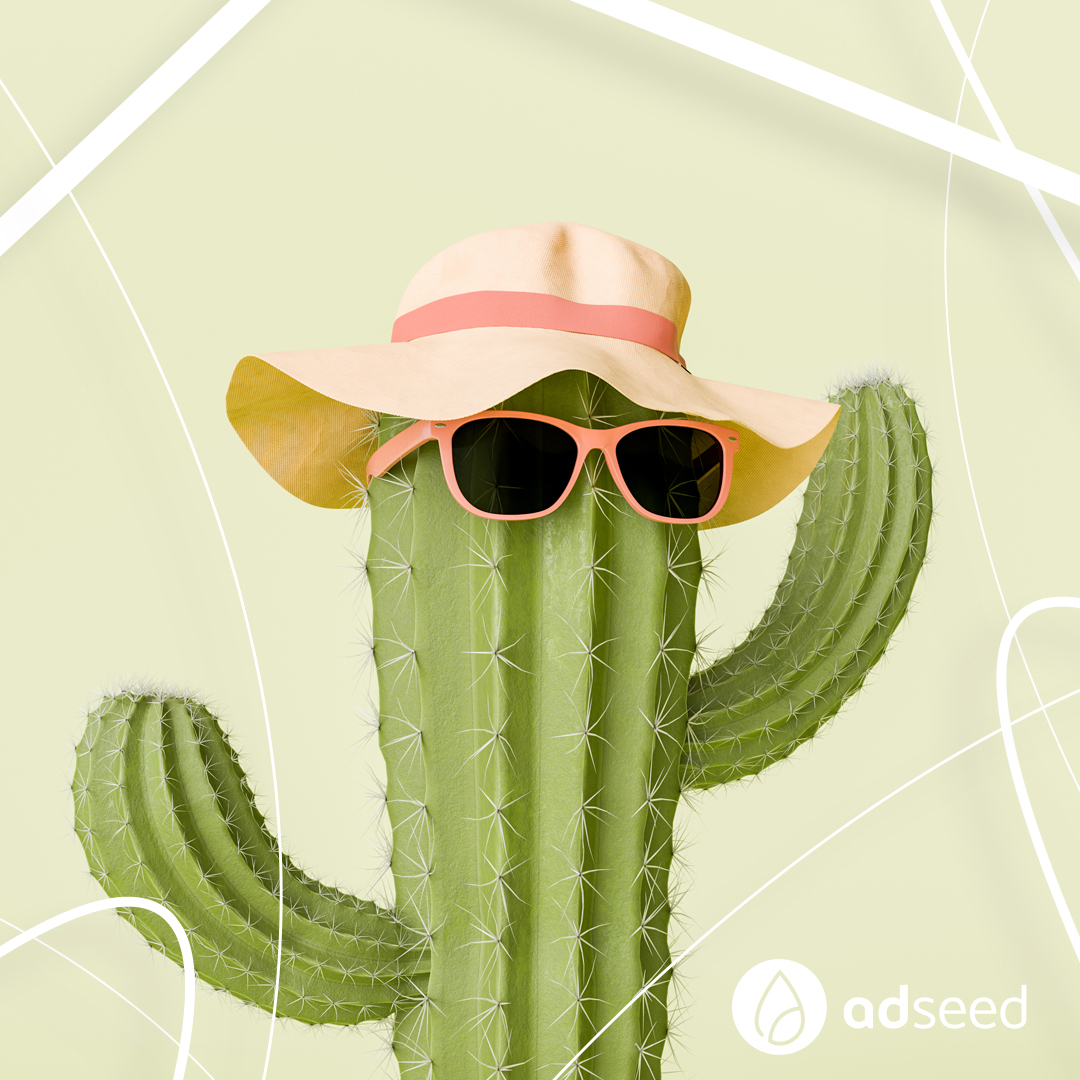 adseed ♥ Performance Marketing tweet media