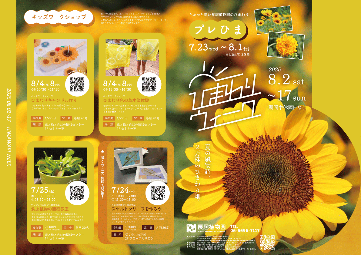 ひまわりページ ひまわりウィーク】 大阪市内にひまわり畑が出現！！ 厳しい暑さが続く