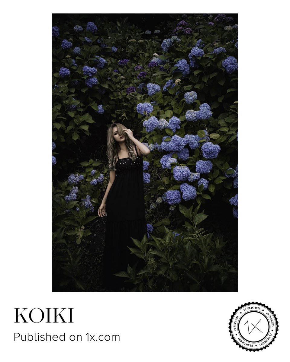relate666's tweet image. Published on 1x.com
( No.600.601.602 )
model : @himemiya_ran
@1X_JPN
#1x #1x_com #紫陽花