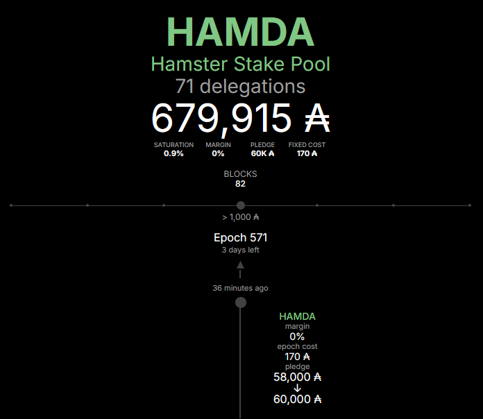 HAMDAStakePool's tweet image. How committed are you to #Cardano? We just increased the pledge