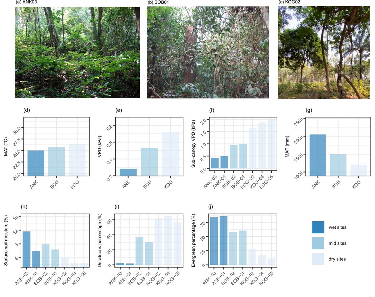 LEMONTREE (@lemontree_uofr) on Twitter photo Check out our new blog on how EEO theory predicts how plant functional traits vary with wet and dry environments by <a href="/_h_zhang/">Zhang Huanyuan</a>
research.reading.ac.uk/lemontree/testā¦
<a href="/ioliverasmenor/">Imma Oliveras Menor</a> Check out our new blog on how EEO theory predicts how plant functional traits vary with wet and dry environments by <a href="/_h_zhang/">Zhang Huanyuan</a>
research.reading.ac.uk/lemontree/testā¦
<a href="/ioliverasmenor/">Imma Oliveras Menor</a>
