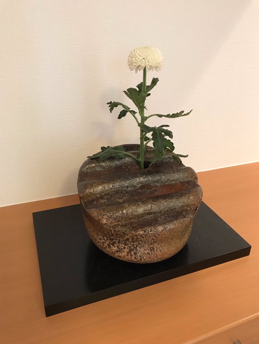花入 - Search / X