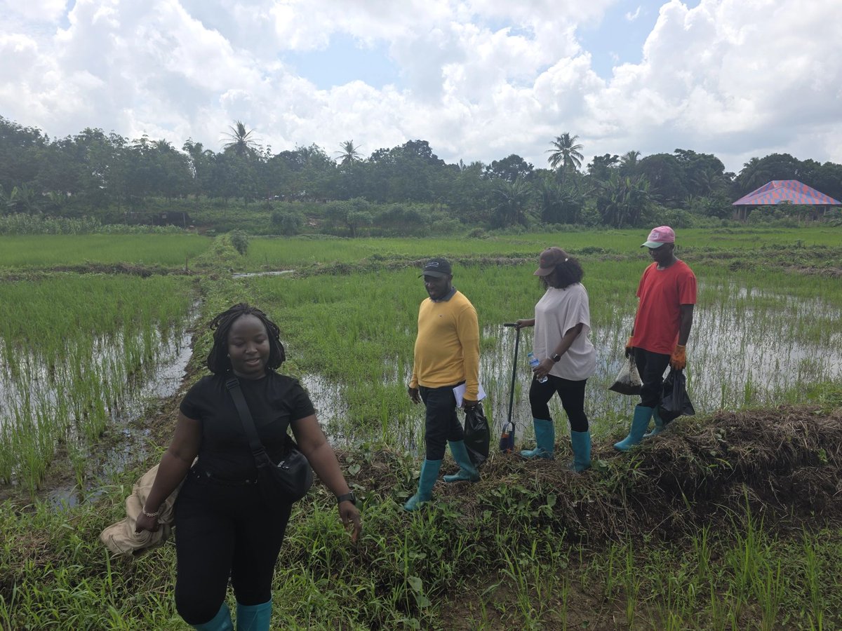 🚜 Boosting Soil Health and Farmer Productivity with Data Science in West Africa

The Regional Hub for Fertilizer and Soil Health for West Africa is using AI-powered models and agronomic data to transform fertilizer recommendations for farmers across the region. By developing