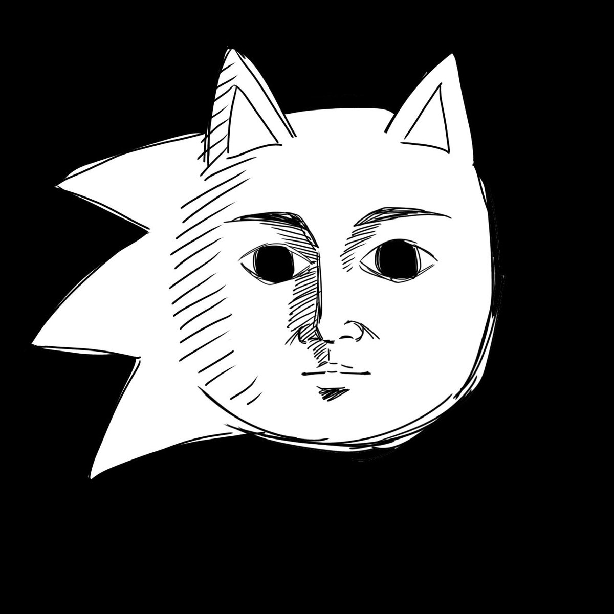 YoiKoi511's tweet image. I think I cooked👍#SonicTheHedegehog