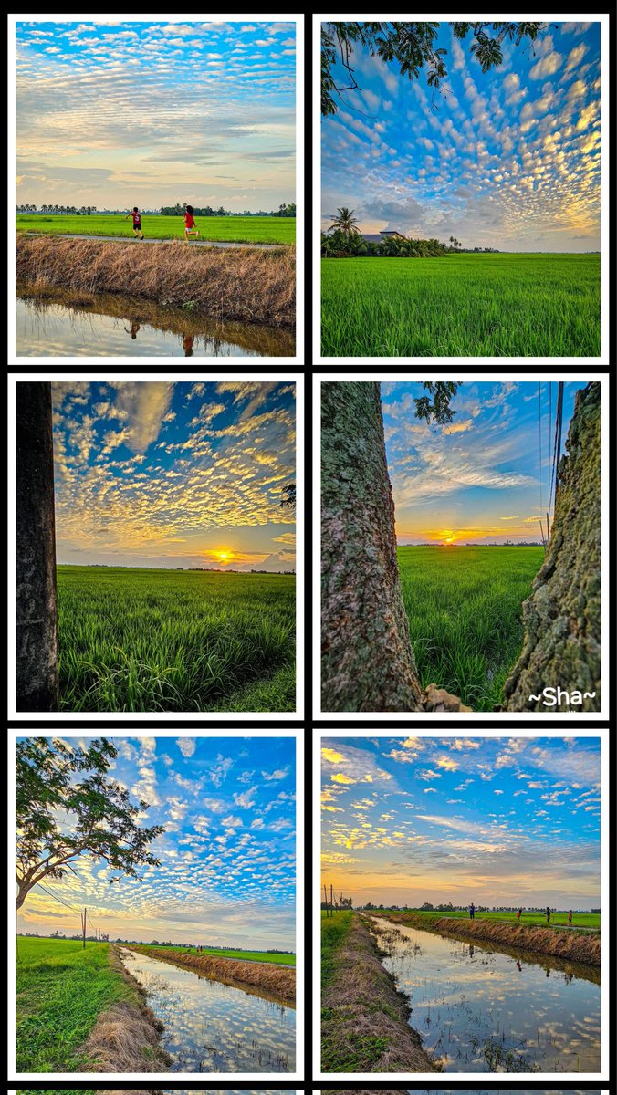sha_m292411's tweet image. ❤️MIND THERAPY❤️
Close your eyes
Fall in love
Stay there💕
🌸Rumi🌸
A beautiful heart sees everything with the eyes of LOVE😘💞
youtu.be/mwePFGzny5g?si…
🇲🇾❤️~Mom's village~falling in love with nature is also a blessing💚🌳
