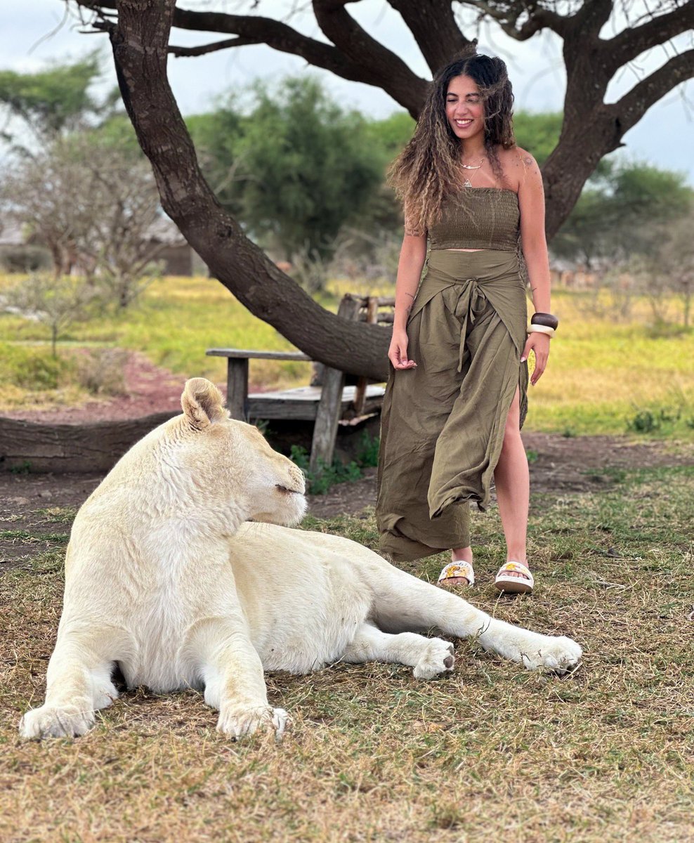 SafariGateway_'s tweet image. Tanzania isn't just a destination, it's the adventure your bucket list has been waiting for 🇹🇿
📍Serval Wildlife, Kilimanjaro region