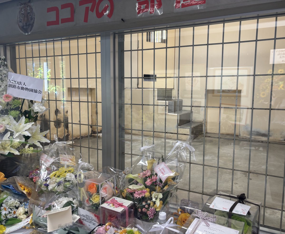 cocoa_taiga's tweet image. ココアのお別れ会、ついにシャッターが開いた。
「もしかしたらまだシャッターの向こうにココアがいるのかも」って、どこかでずっと思い続けていたけれど。
ココアはタイガの元に辿り着けたんだね。
寂しさの中にも暖かさがあって、心に残る素敵な会でした。
ありがとうございました💐

#釧路市動物園