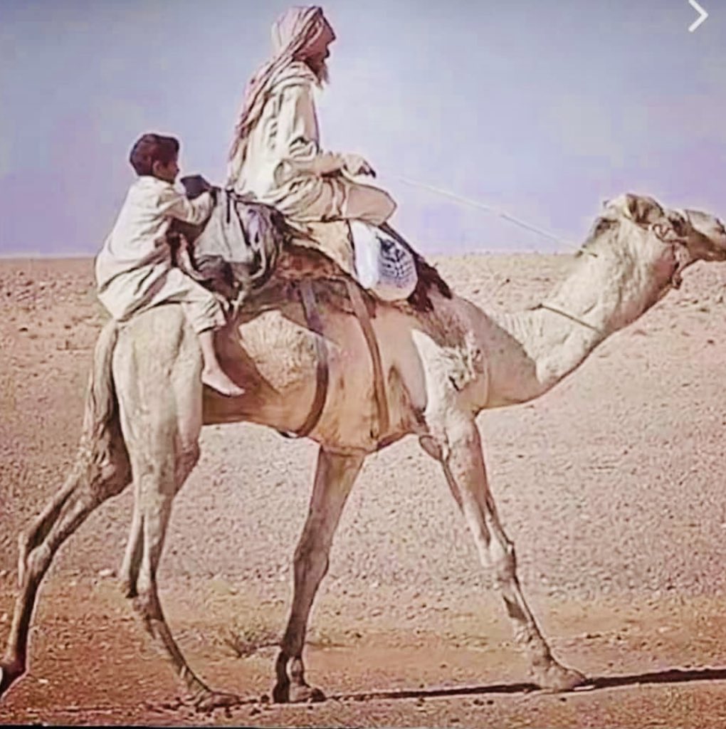 فضل #اهل_البادية
من وصايا عمر التي قالها عند موته للخليفة من بعده ، وصيته بالبدو ، حيث قال :
" أوصيه بالأعراب خيرا، فإنهم أصل العرب ومادة الإسلام "
رواه البخاري
وفي المسند قال:
"أوصيكم بالأعراب، فإنهم
إخوانكم ، وعدو عدوكم"