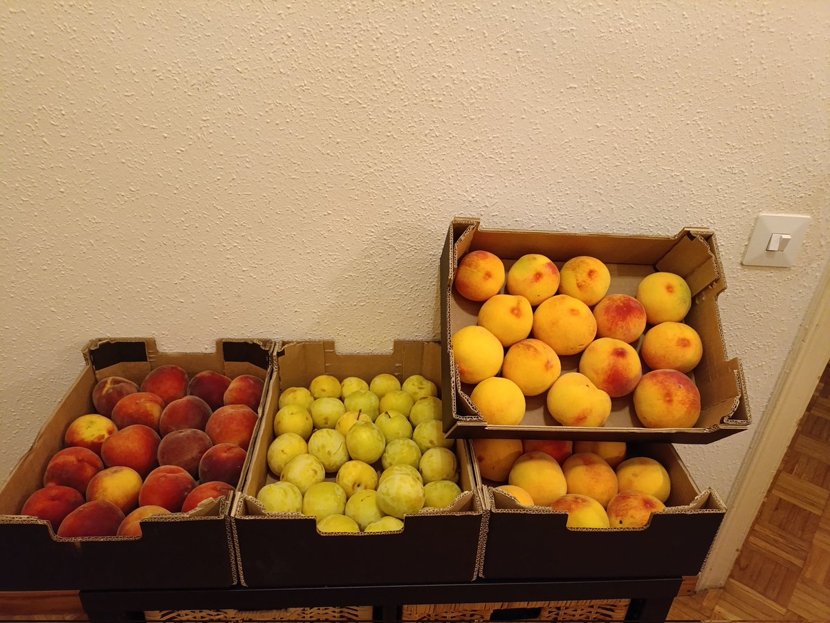 Acomiadem, per aquest estiu la boníssima fruita del <a href="/RFruita/">Ramon de la Fruita</a> <a href="/ZoiloJove/">Zoilo Jové</a> <a href="/fvalles82/">Francisco Valles Lopez</a> <a href="/gunni_jvl/">JVL</a>, es farà molt llarg la veritat, esperem que la propera campanya os sigui menys feixuga 🙏. Gràcies per els bons productes que colliu i gràcies també a <a href="/sangcatalana/">Sangcatalana</a> per portar-los.