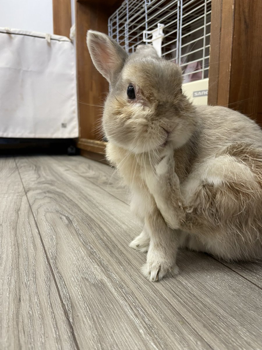chocolate_otter's tweet image. 海の日の今日も暑かった🏖️