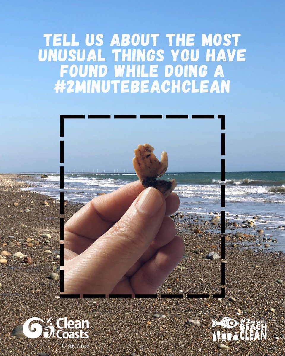 CleanCoasts's tweet image. ๐A helping hand please! This curious little hand was found during a beach cleanup in #Wexford.
Tell us about the weird and wonderful things you have found and where you found them? ๐ Do you like to keep your unusual #2MinuteBeachClean finds?
#CleanCoasts #PlasticFreeJuly