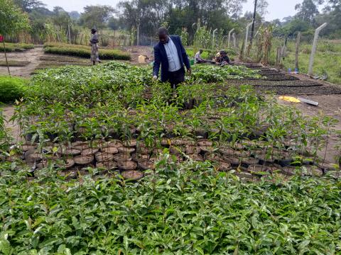 KampalaPost's tweet image. Kazo District Launches Tree Nursery to Tackle Climate Change kampalapost.com/content/kazo-d…
