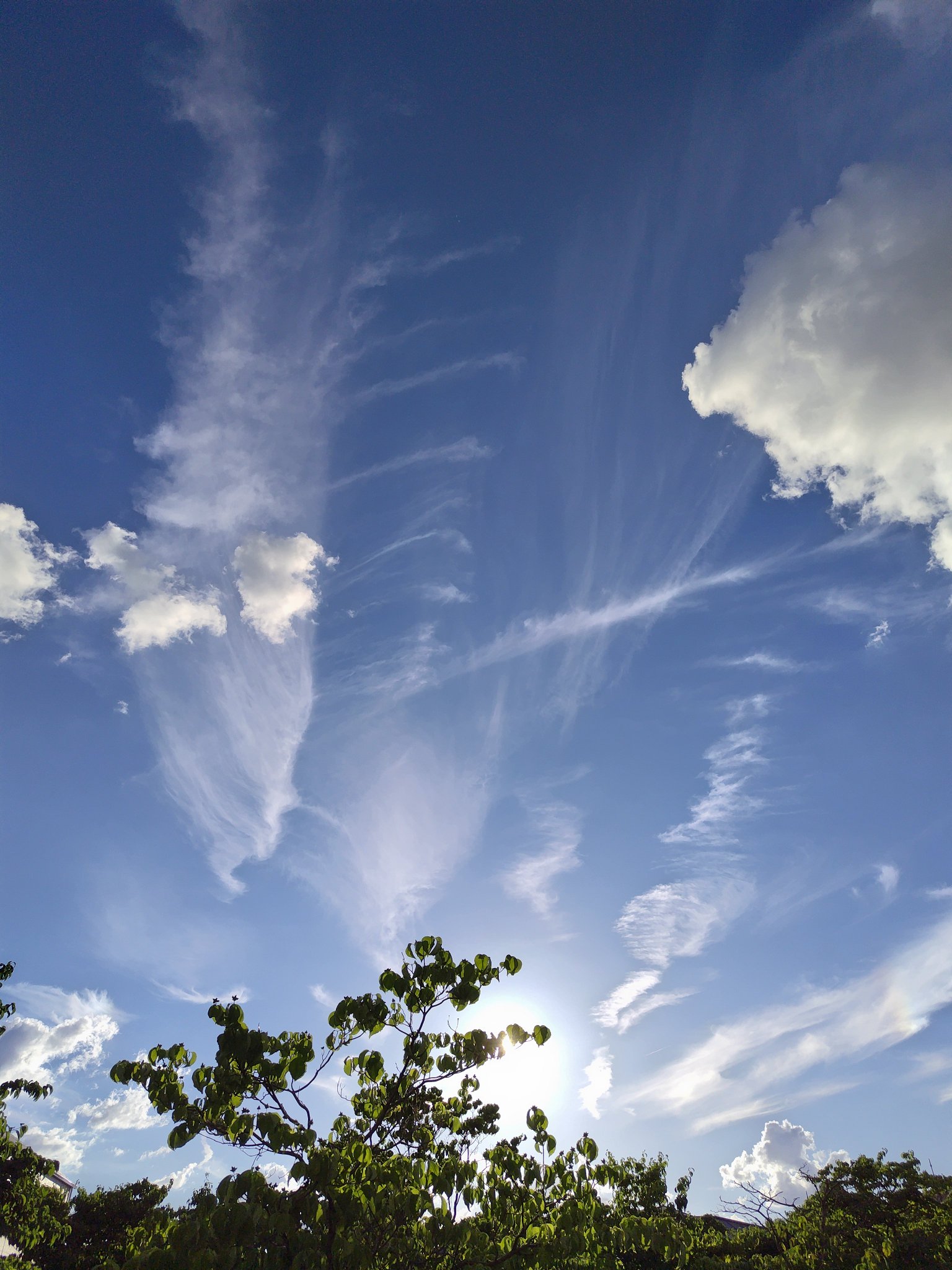 高層雲 on X: 