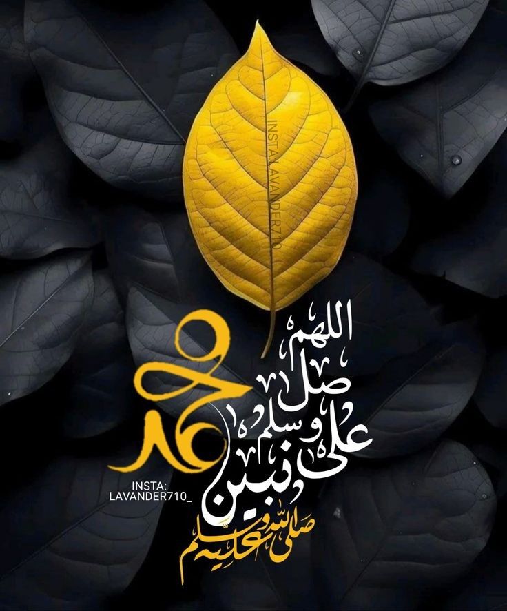 بَلَغَ العُلٰی بِكَمَالِهِ
وہﷺ پُہنچے بلندیوں پراپنے کمال کے ساتھ
 كَشَفَ الدُجَى بِجَمالِهِ
 آپﷺ کے جمال سے تمام اندھیرے دُور ہوگے
 حَسُنَت جَمِيعُ خِصَالِهِ
 آپﷺ کی تمام عادتیں ہی بُہت اچھی ہیں 
صَلُوا عَليهِ وآلِهِ
 آپﷺ پراورآپﷺ کی آل پاک پرلاكهوں
 درُود اور سلام۔۔!💚