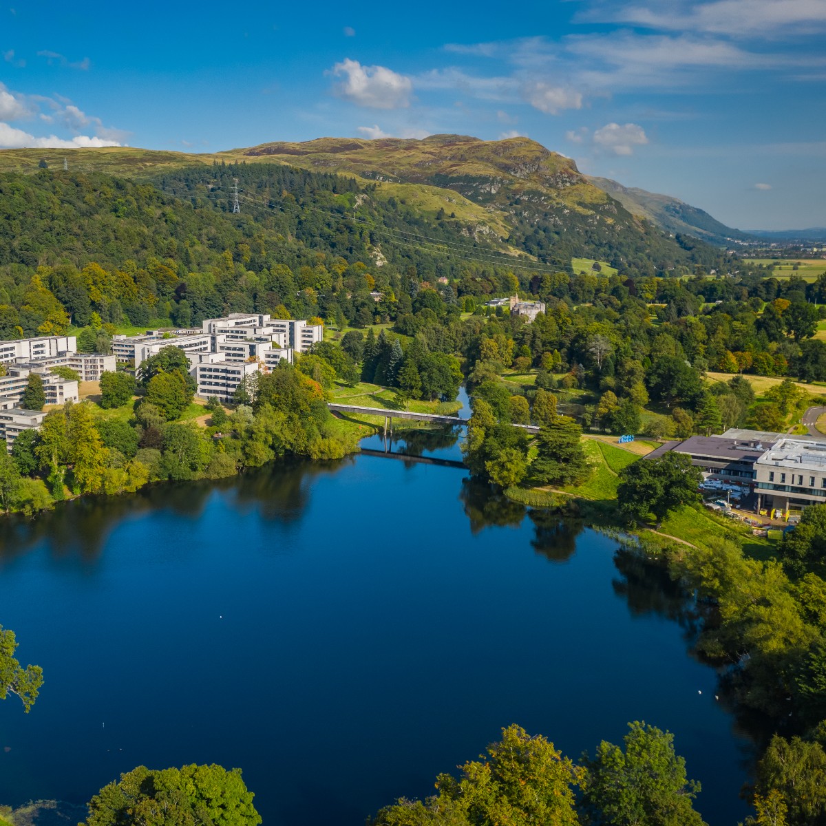 StirUni's tweet image. Happy Monday! "Work hard now, be proud later." #MondayMotivation 💫