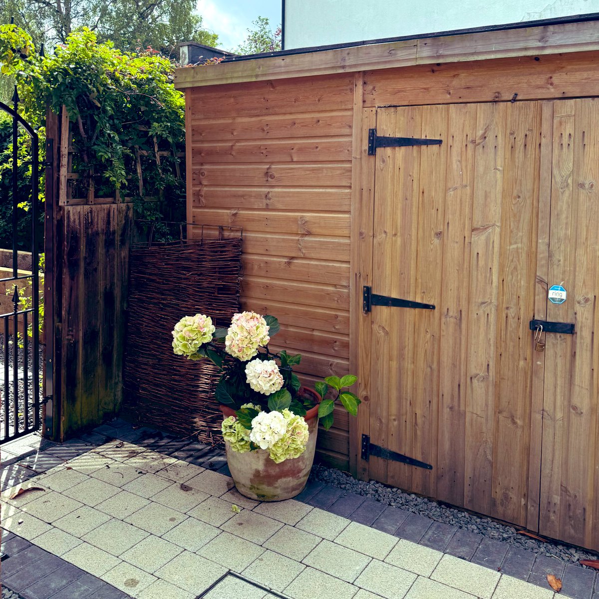 northumbriana's tweet image. A week off to make progress on the NUFC book and I’m already finding the fierce urgency of clearing out the shed irresistible #getonwithit