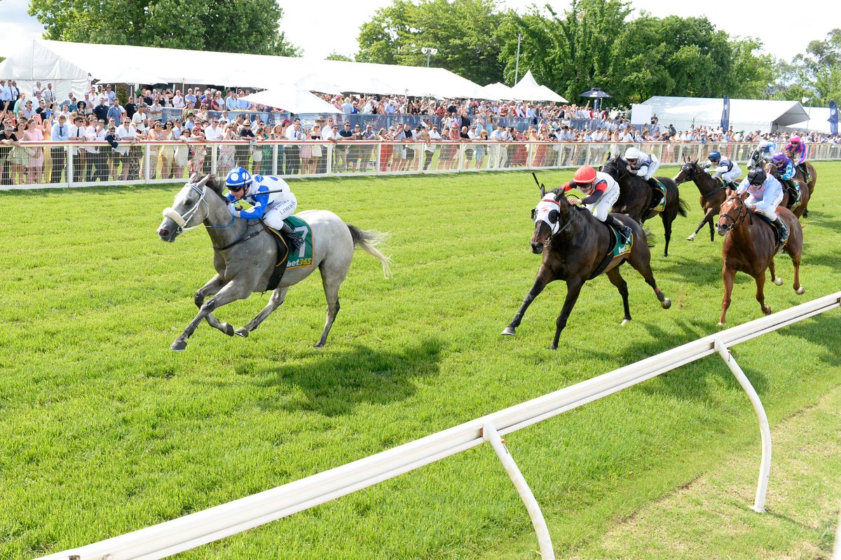Country Racing (@country_racing) on Twitter photo After a memorable 2024-25 racing season full highlights & wonderful storylines, the three finalists for the <a href="/bet365_aus/">bet365 Australia</a> CRV Horse of the Year have been announced. 🥇🏇
READ MORE 👇
country.racing.com/news/2025/07/2…
#CountryRacing After a memorable 2024-25 racing season full highlights & wonderful storylines, the three finalists for the <a href="/bet365_aus/">bet365 Australia</a> CRV Horse of the Year have been announced. 🥇🏇
READ MORE 👇
country.racing.com/news/2025/07/2…
#CountryRacing