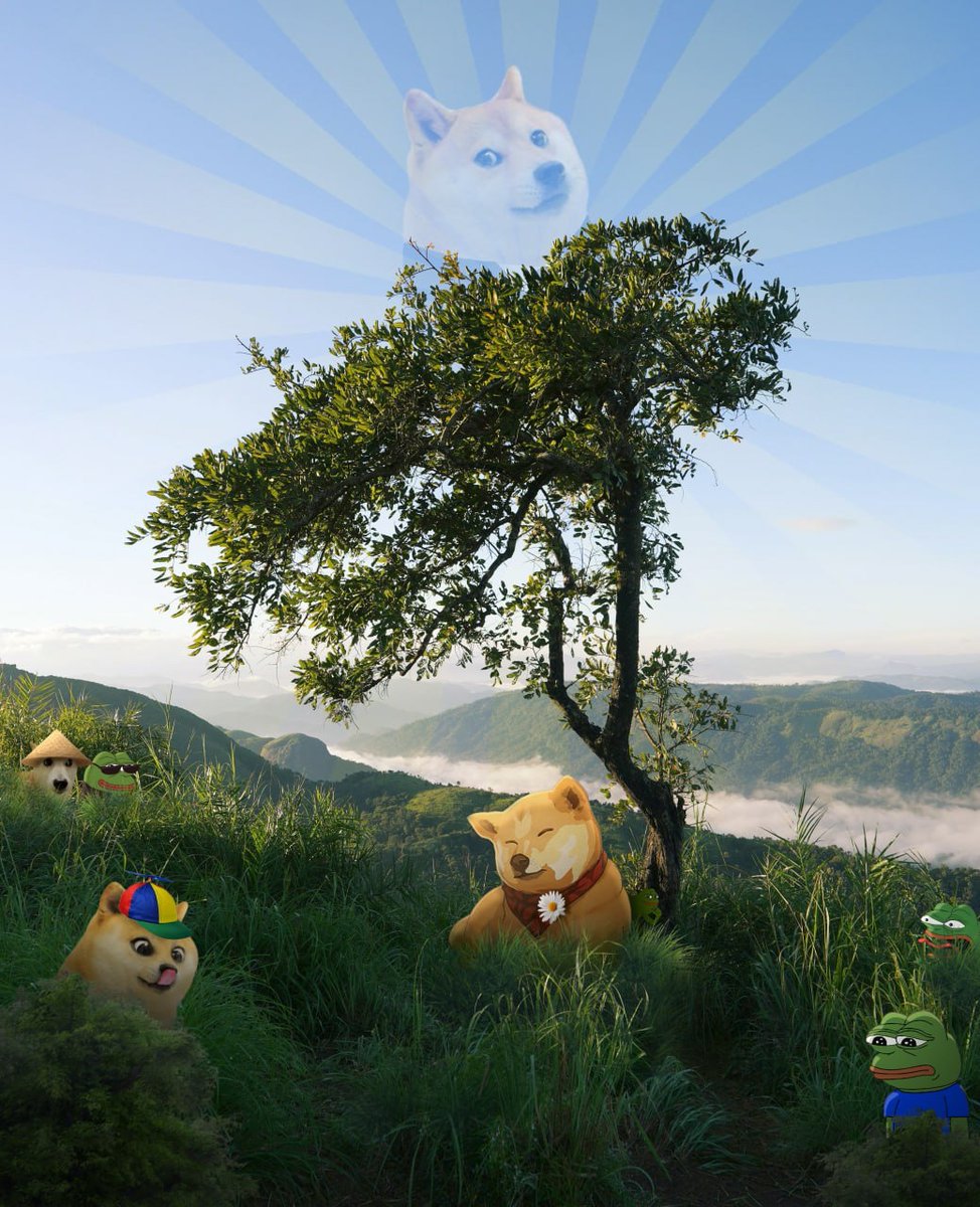 neiro's tweet image. Manifesting among legends, Neiro blossoms, joins Doge &amp;amp; Pepe!