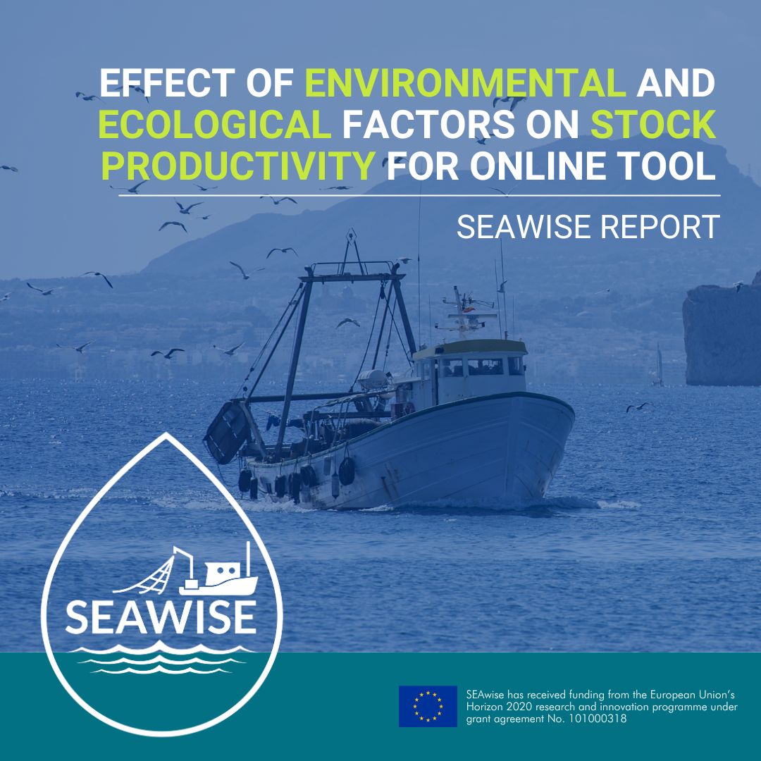 SEAwise #research investigated the impact of the #environment on the productivity of #fish stocks to inform #EBFM. 
Responses to #climate change are stock and location specific with knock-on environmental, #economic and #social impacts. 
Full report👉 loom.ly/cBPtdqI